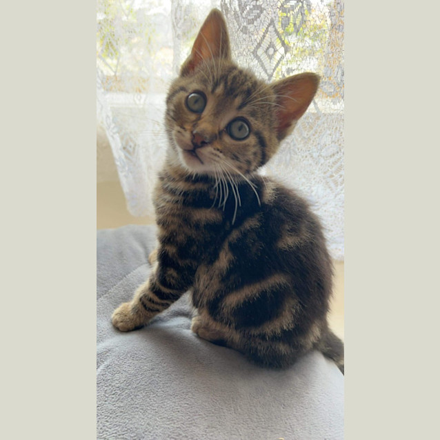 Photo of Donald