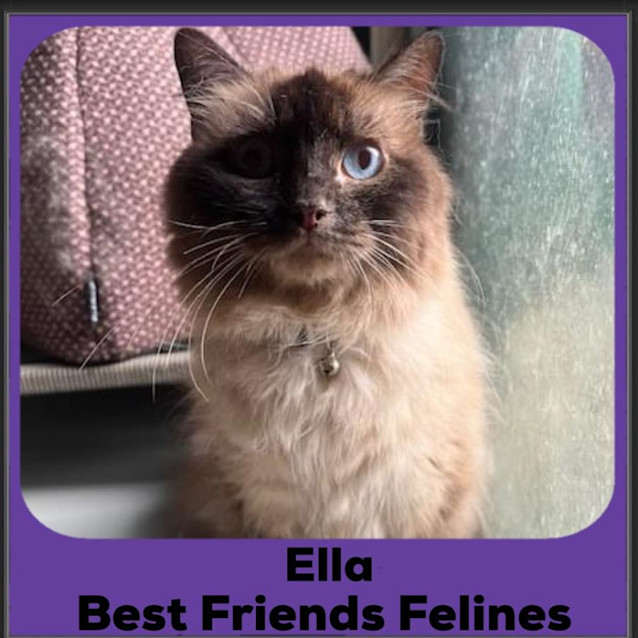 Photo of Ella