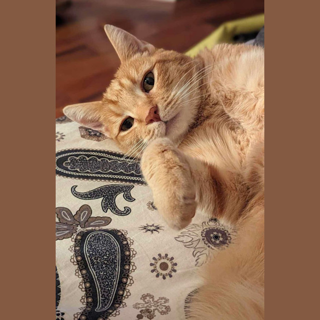 Photo of Paris ❤️