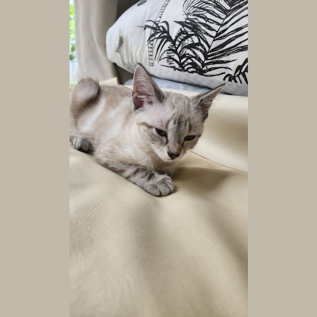 Photo of Elfie