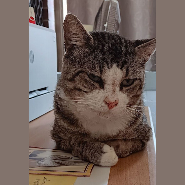 Photo of Foreman Frank