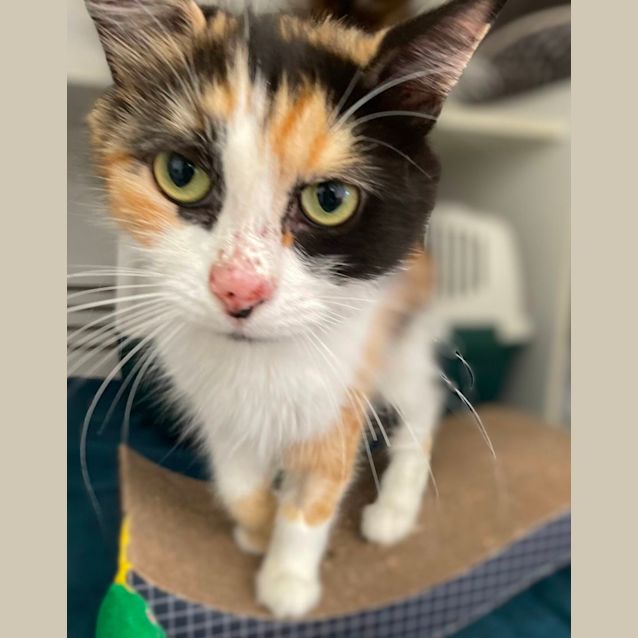 Photo of Emmy
