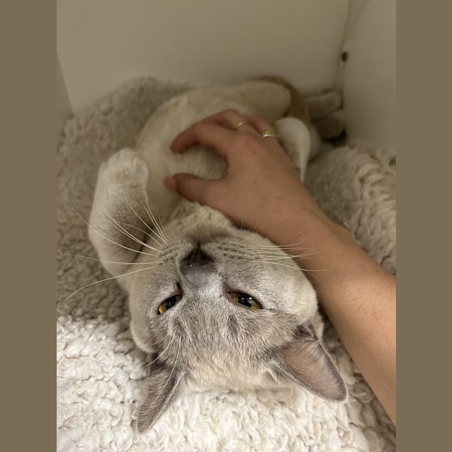 Photo of Mr Sasha Velour