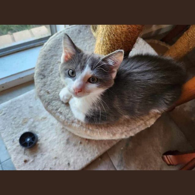 Photo of Kevin