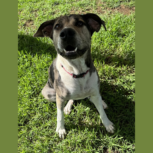 Photo of Lucy