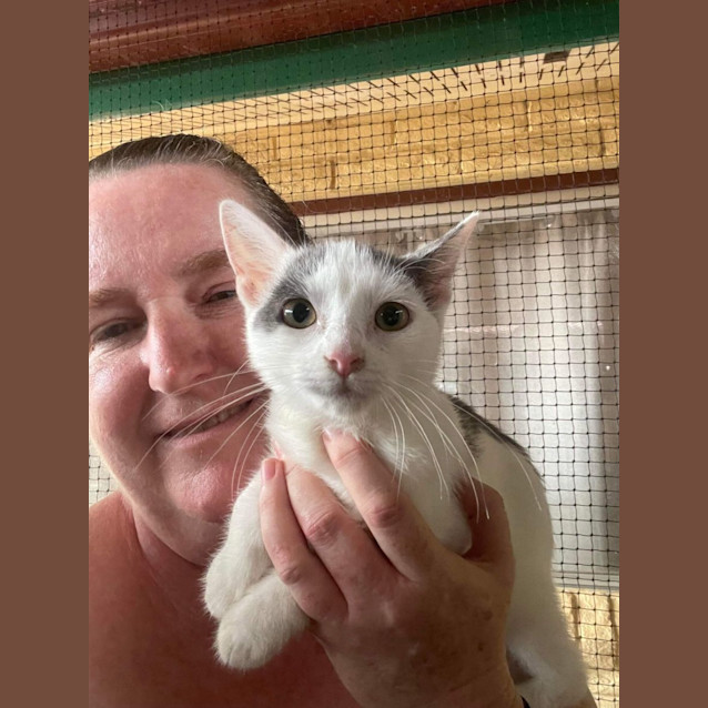 Photo of Snowball