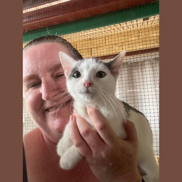 Photo of Snowball