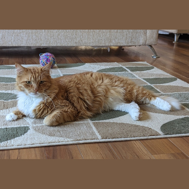 Photo of Maxie
