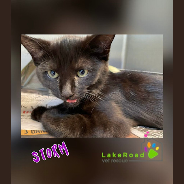 Photo of Storm