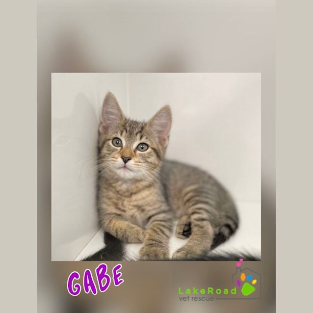 Photo of Gabe 