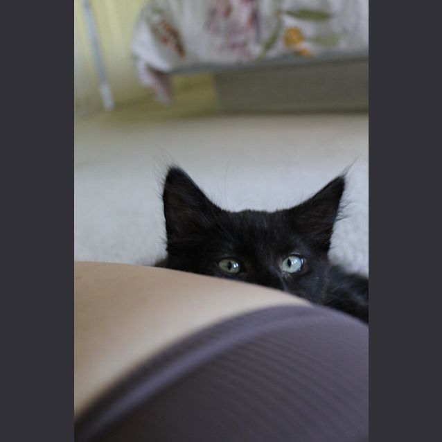 Photo of Winnie