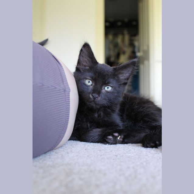 Photo of Winnie