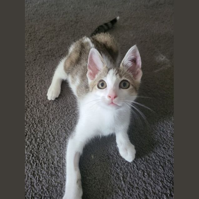 Photo of Bullseye