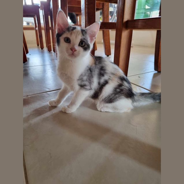 Photo of Tia