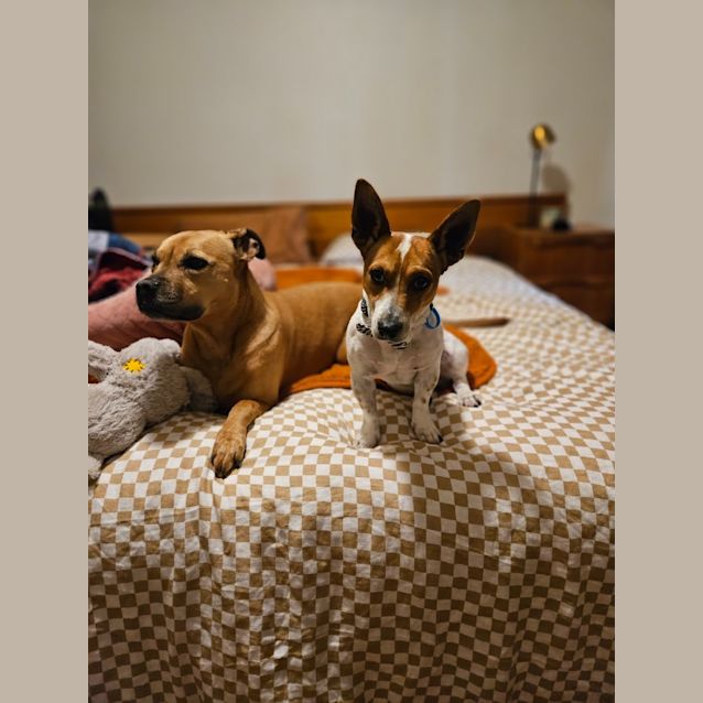 Photo of Humphrey