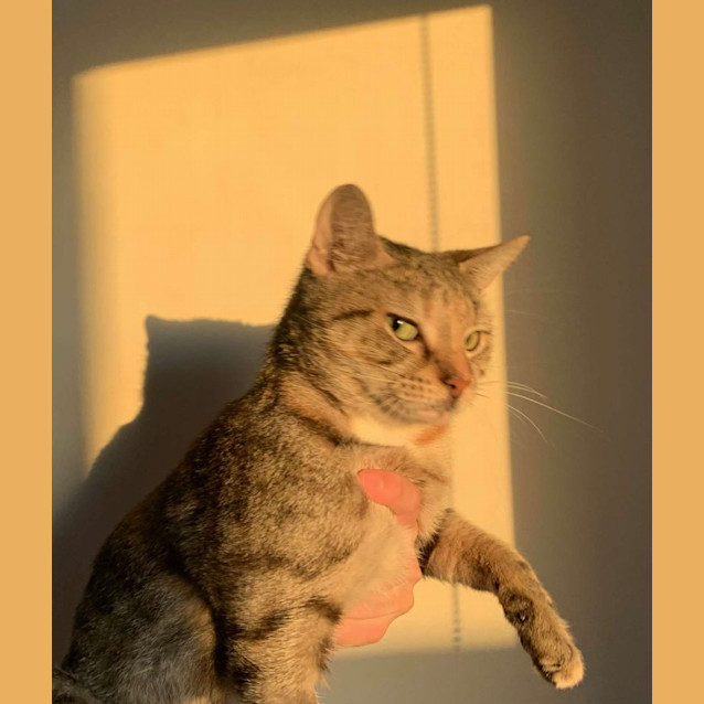 Photo of ✨ Buffy ✨