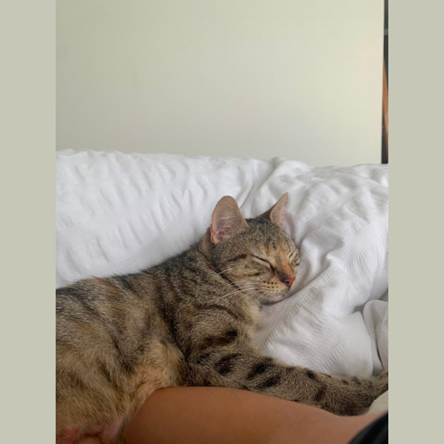 Photo of ✨ Buffy ✨