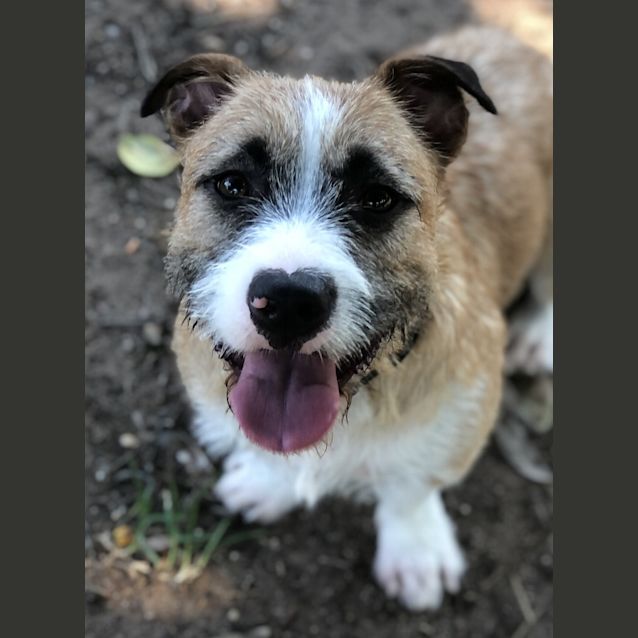 Photo of Mr Muddles