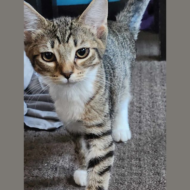 Photo of Ethel   Located In Preston