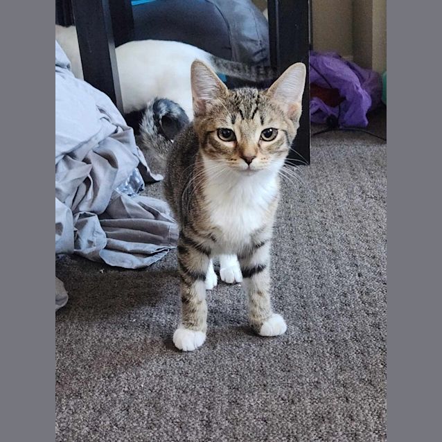 Photo of Ethel   Located In Preston