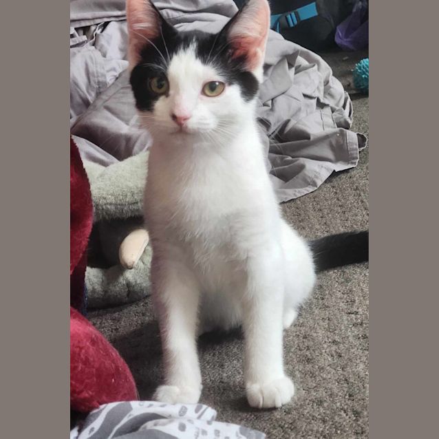 Photo of Gavin   Located In Preston