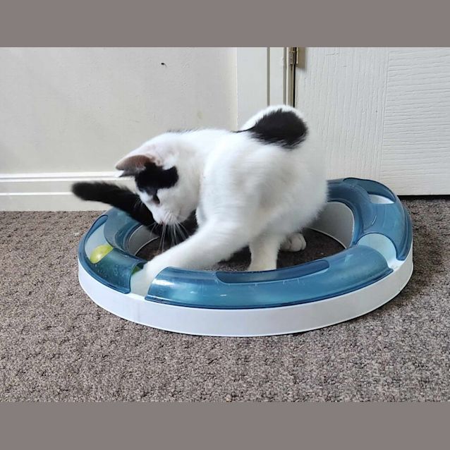 Photo of Gavin   Located In Preston