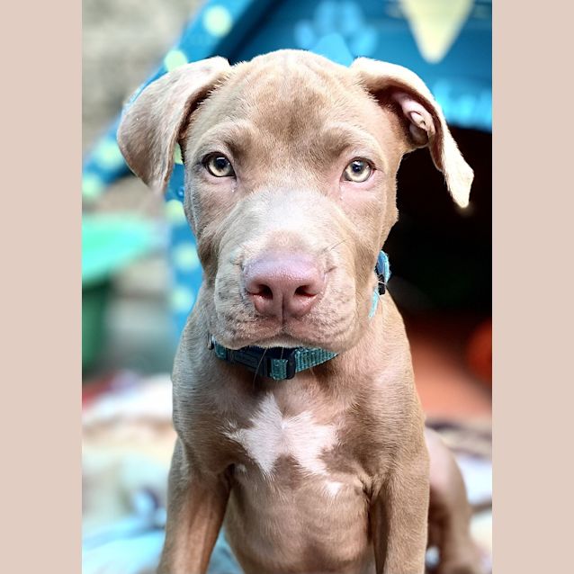 Photo of Ernie