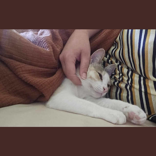 Photo of Winifred