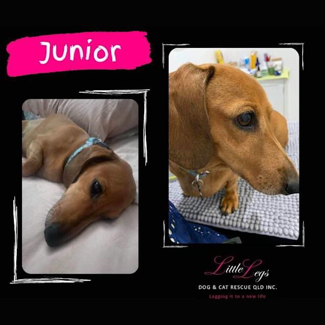 Photo of Junior