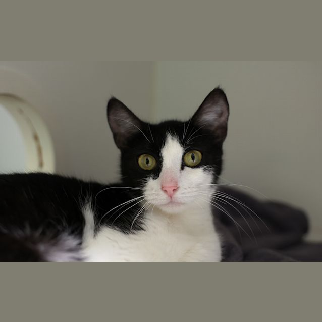 Photo of Sally
