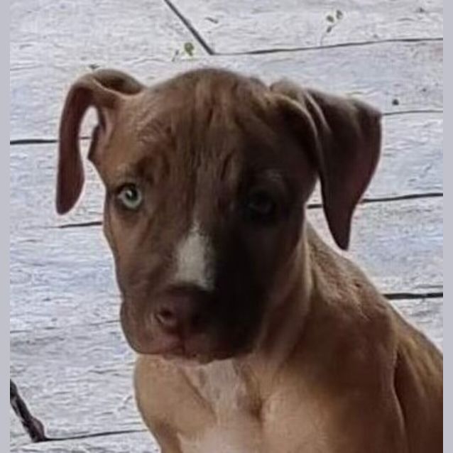 Photo of Sassy