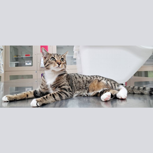 Photo of Jackson (9848)