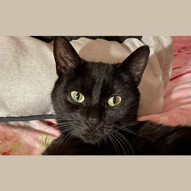 Photo of Zola