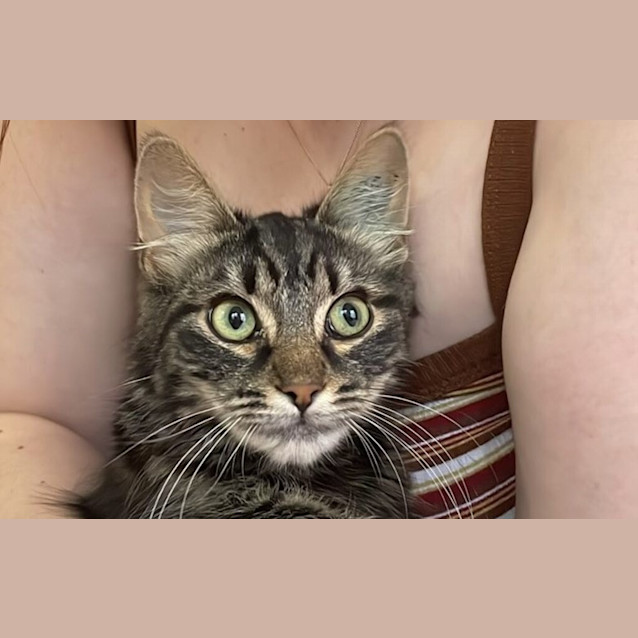 Photo of Theodore James (Teddy)