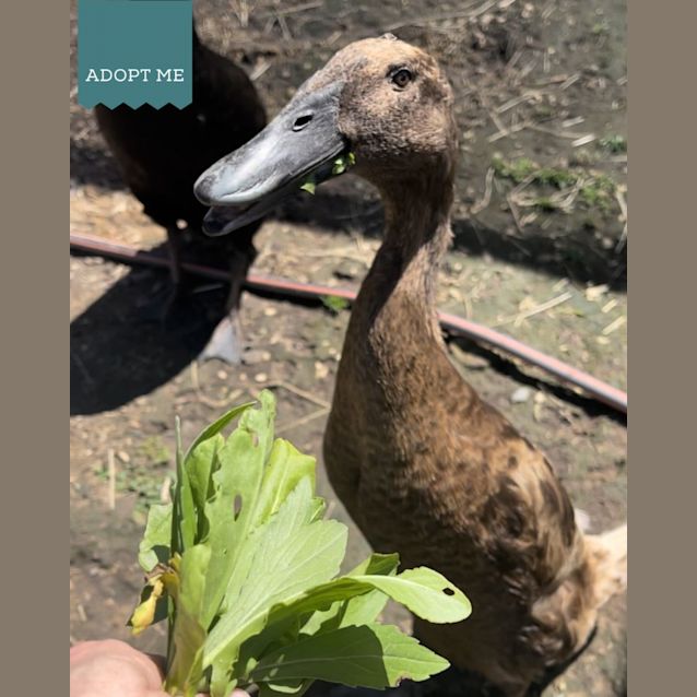 Photo of Erol And Cray Cray