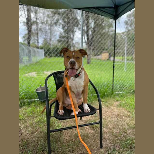 Photo of Bronx 
