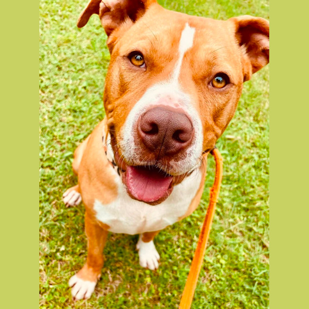 Photo of Bronx 
