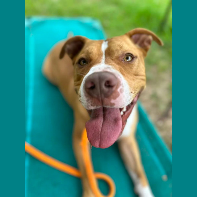 Photo of Bronx 