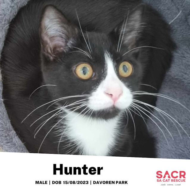 Photo of Hunter