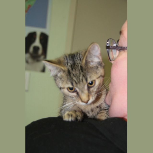 Photo of Sage