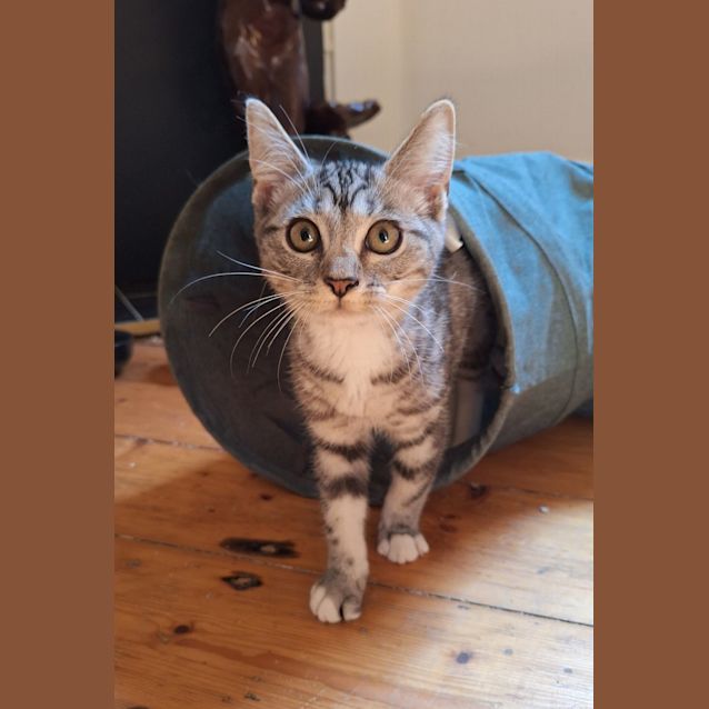 Photo of Rosemary