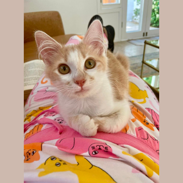 Photo of Bailey 💙