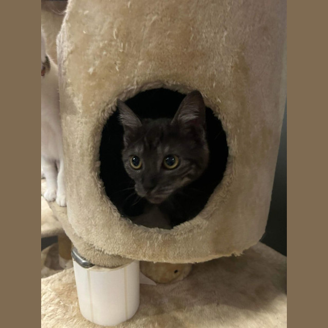 Photo of Ellie   Located In Pakenham