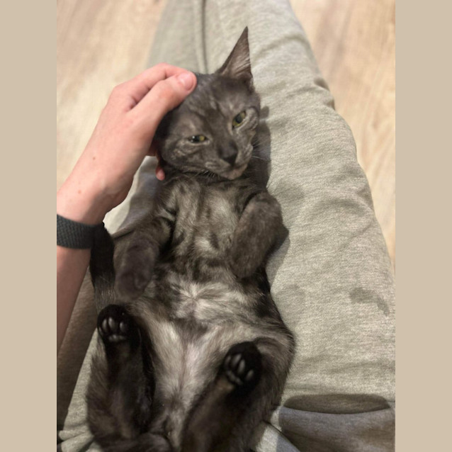 Photo of Ellie   Located In Pakenham