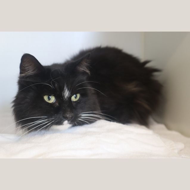 Photo of Monty