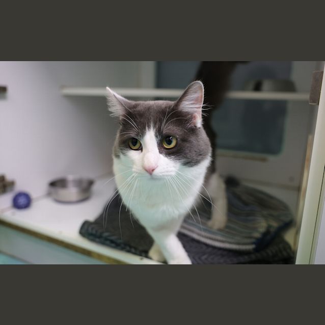 Photo of Walter