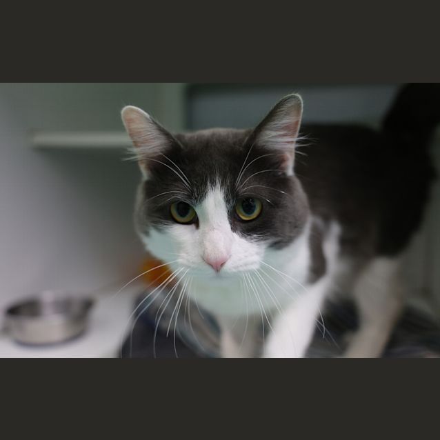 Photo of Walter