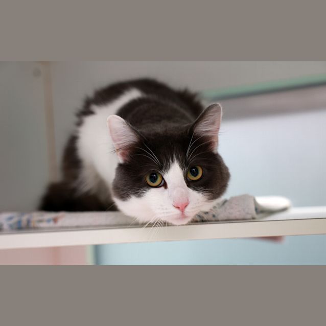 Photo of Walter