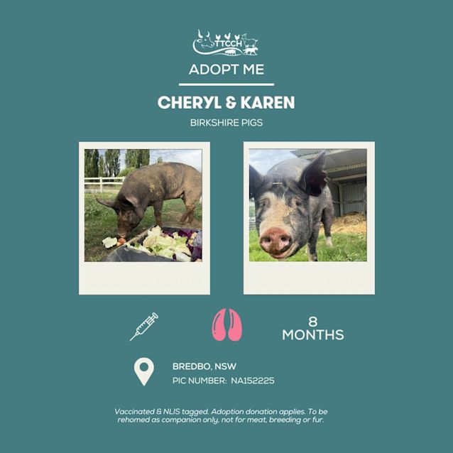 Photo of Karen And Cheryl