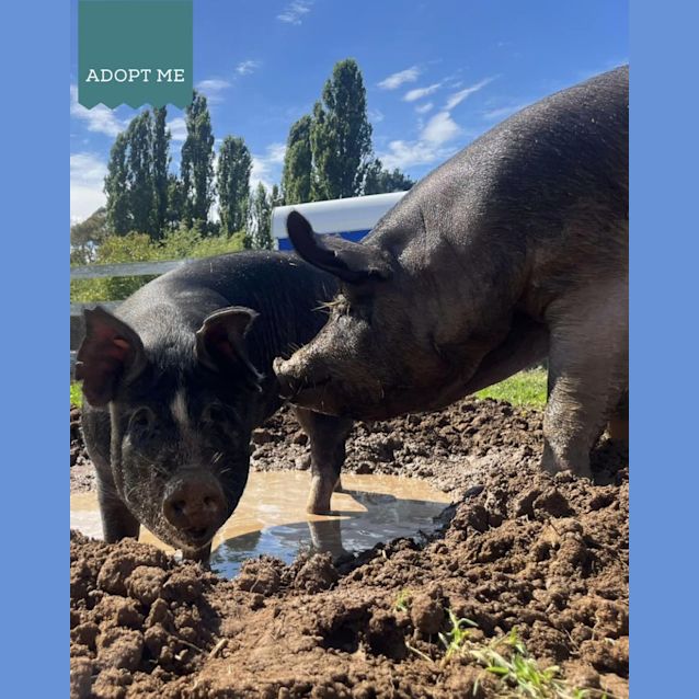 Photo of Karen And Cheryl